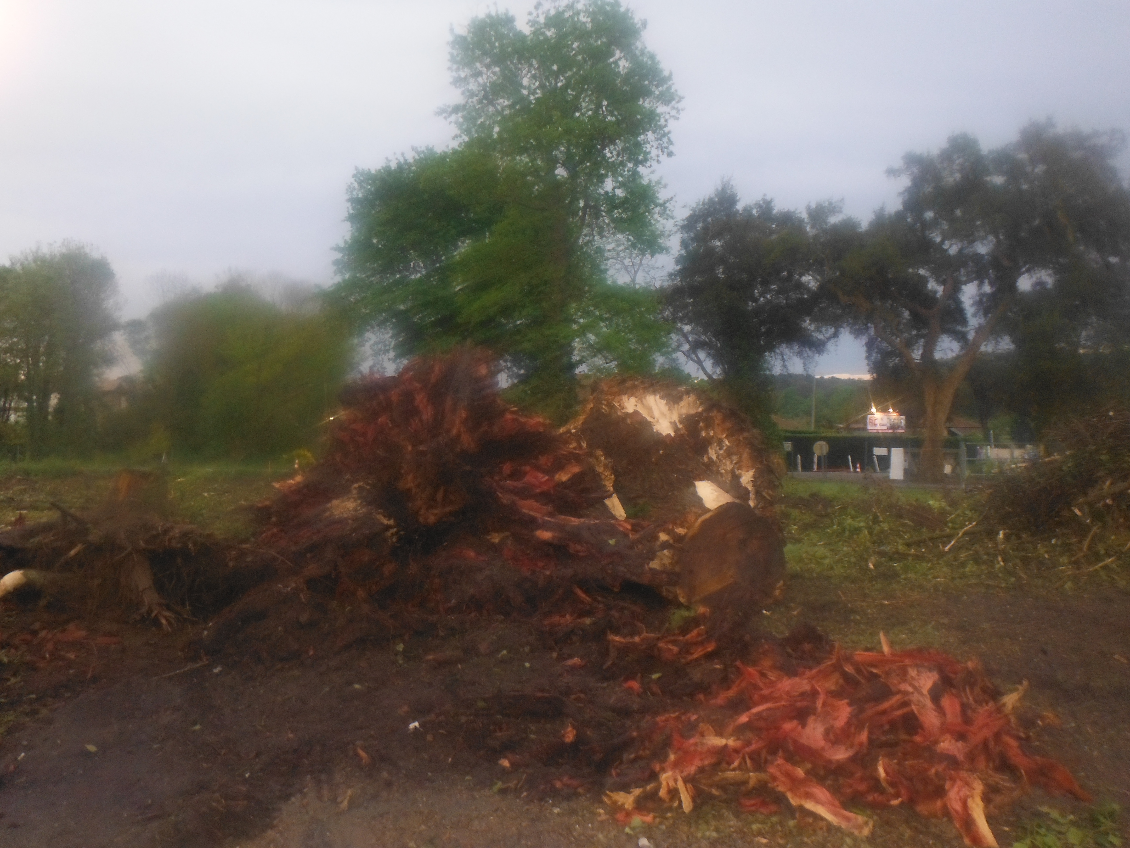 DSCF3171.JPG