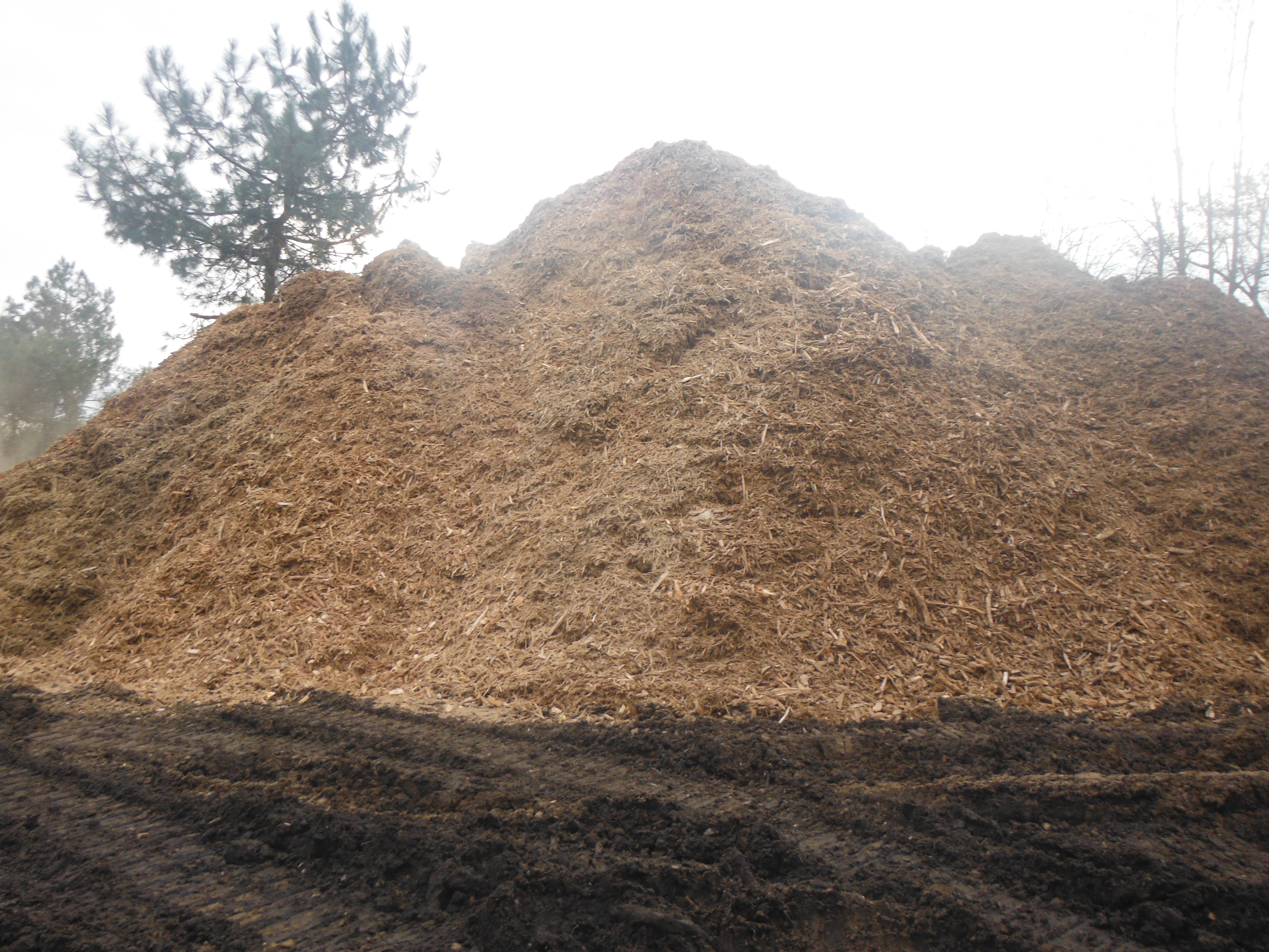DSCF3095.JPG