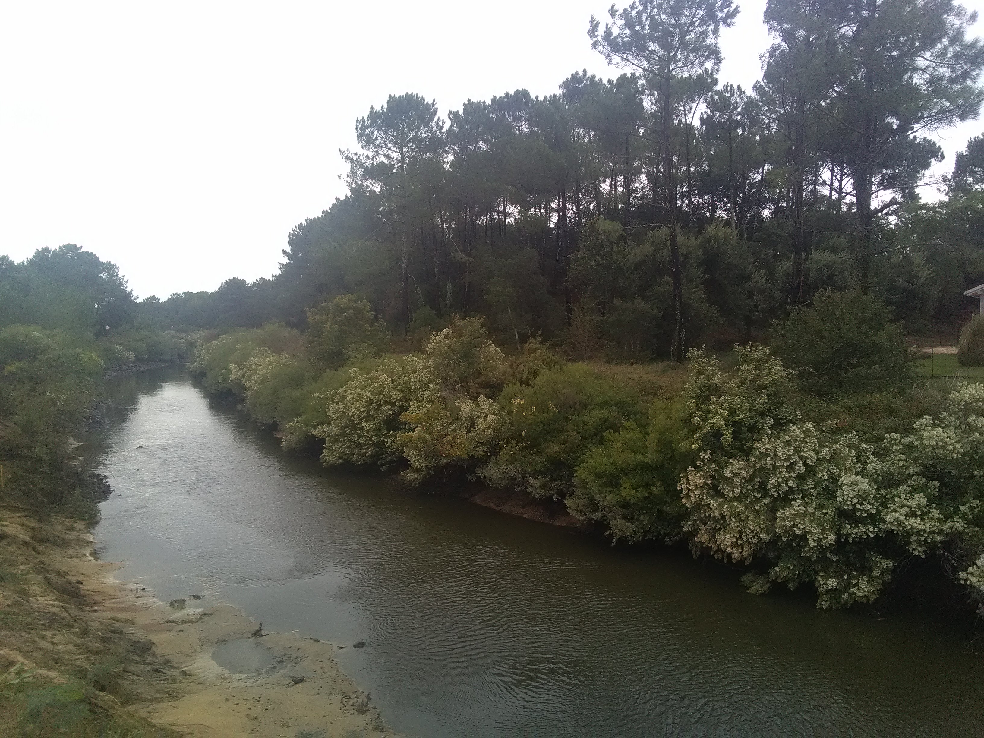 IMG_20201002_110056.jpg