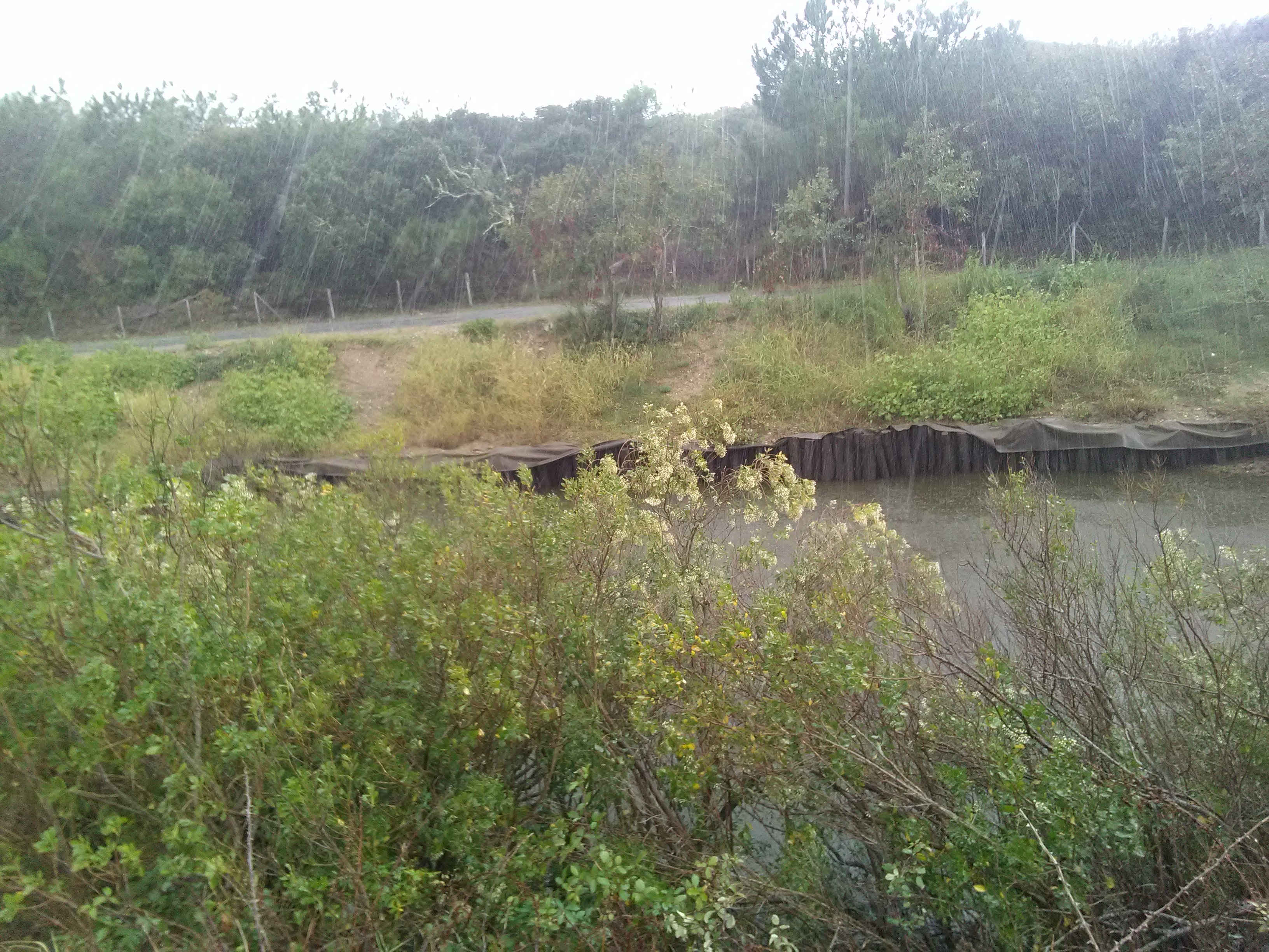 IMG_20201004_111948.jpg