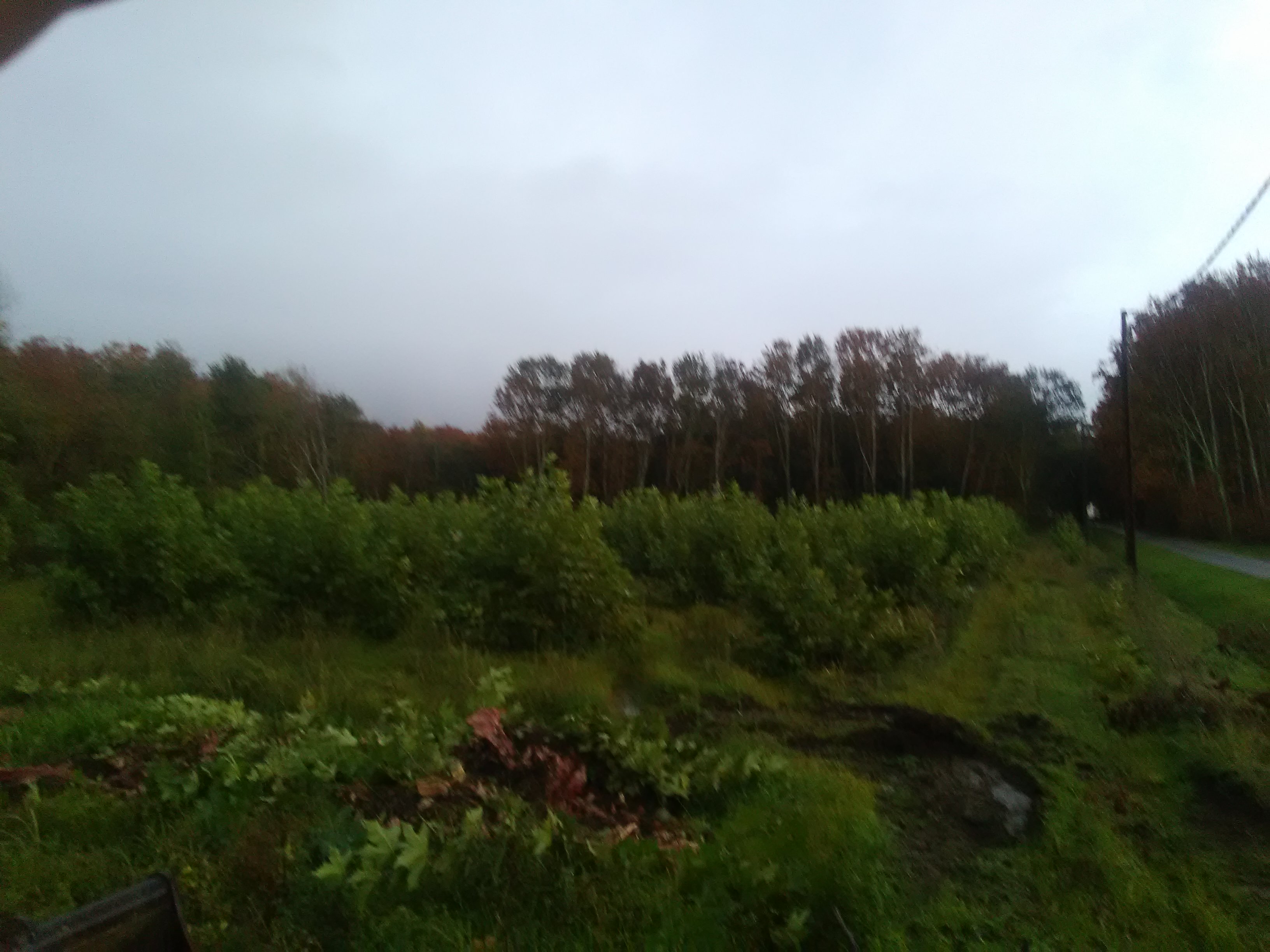IMG_20201026_075847.jpg