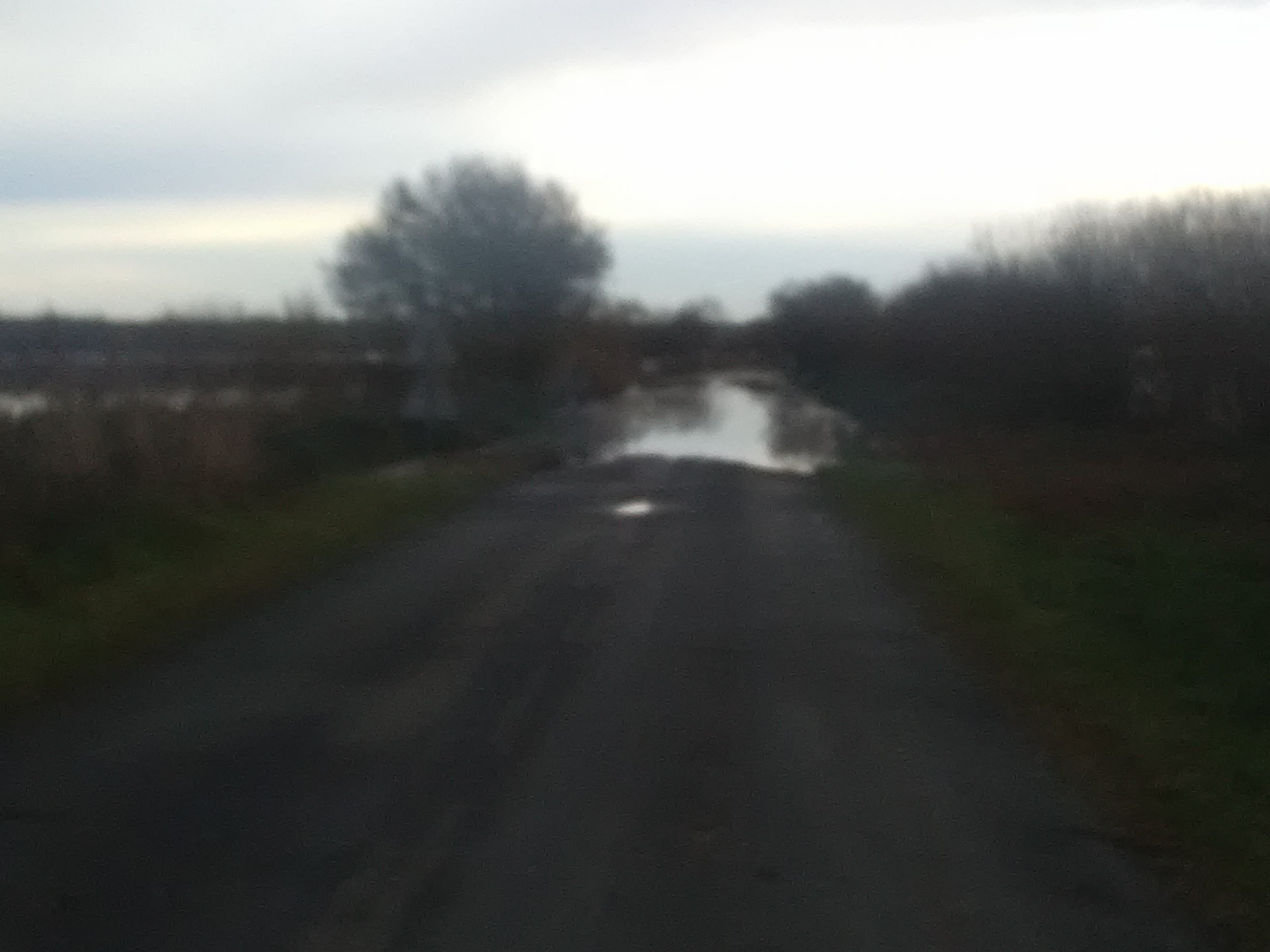 IMG_20201214_092447.jpg