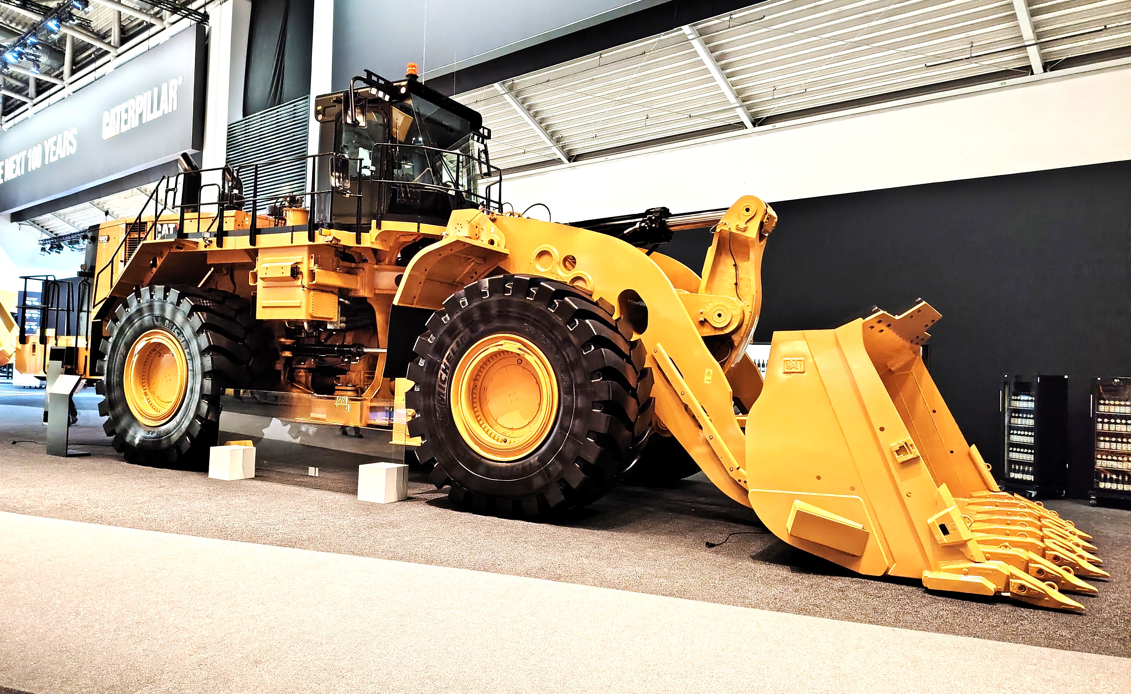 Cat 992.jpg