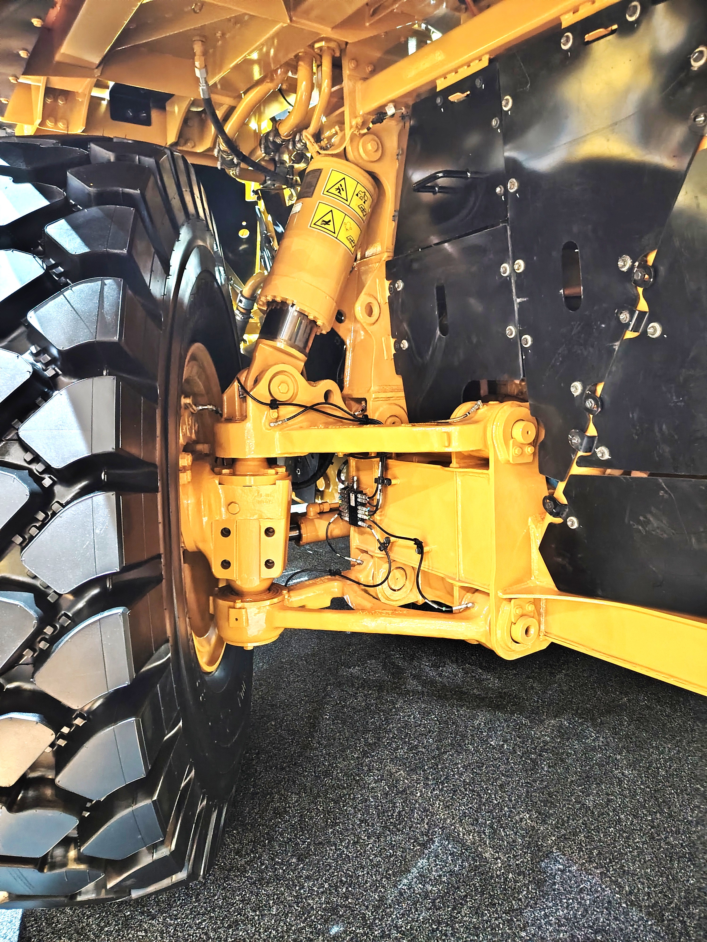 Cat-775.jpg