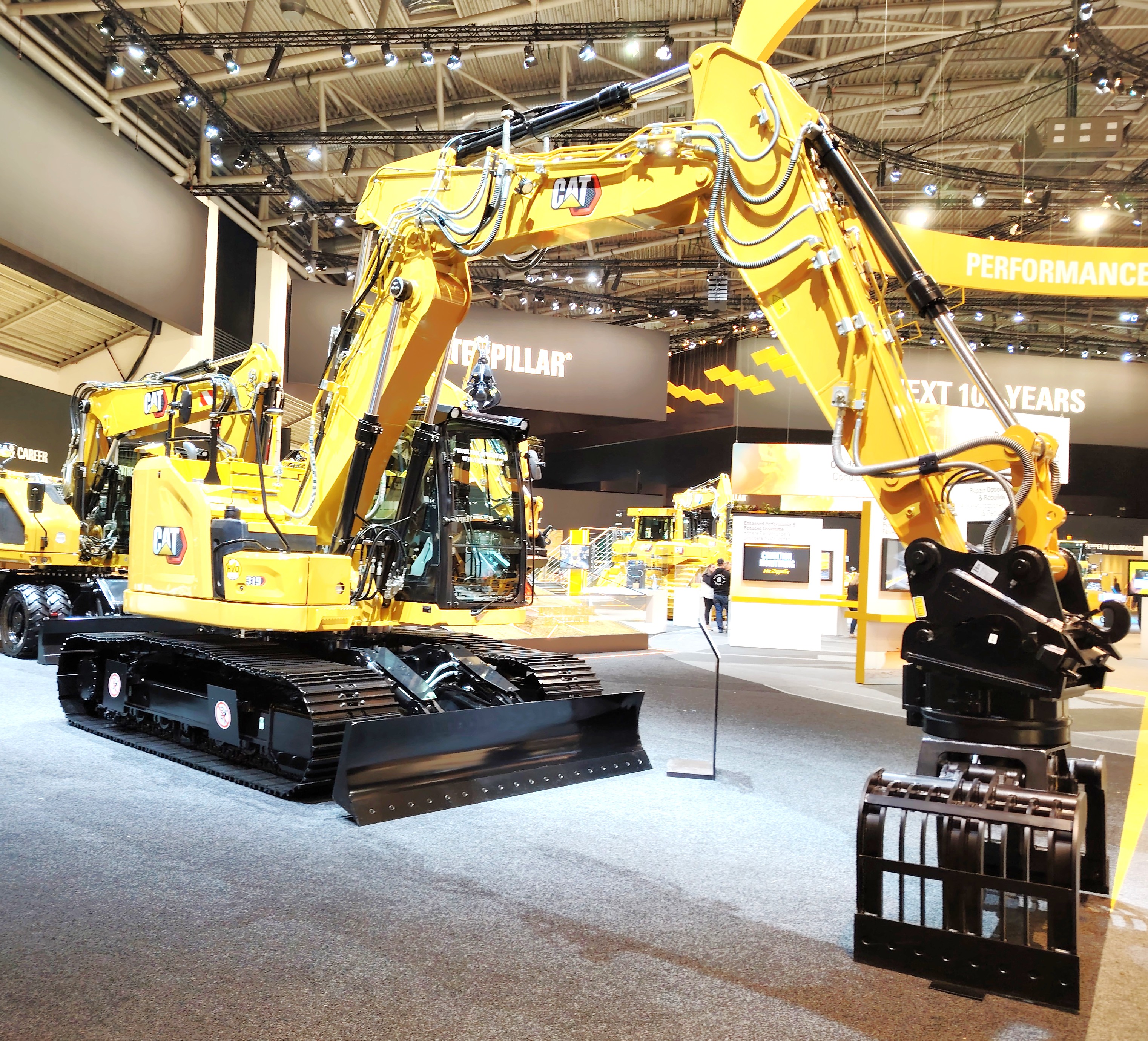 Cat 319.jpg